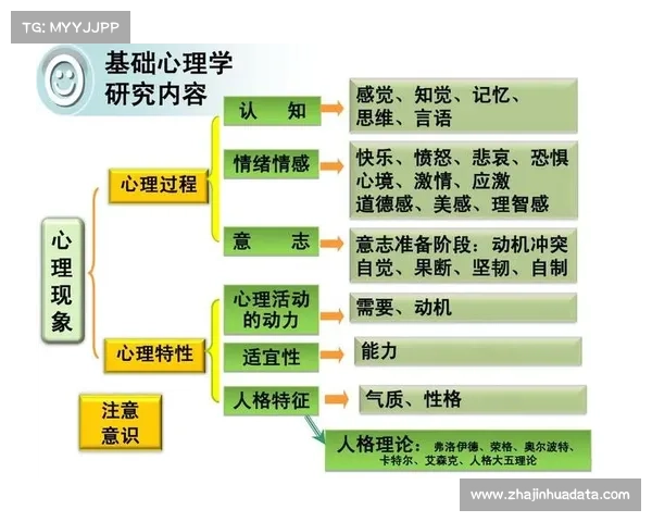跳水运动员心理训练体系建设与专业心理咨询师入驻机制研究